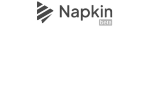 AI Profile: All About Napkin AI